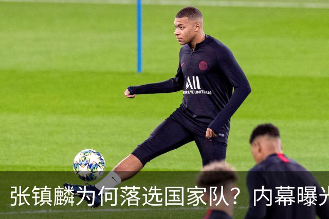 张镇麟为何落选国家队？内幕曝光，叫人心疼，郭士强并没放弃他